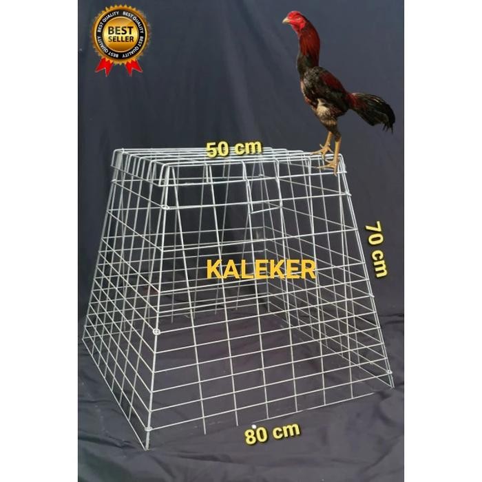 KANDANG AYAM BANGKOK GALVANIS PIRAD