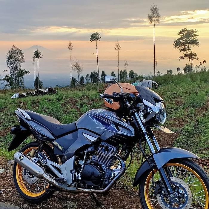 PREMIUM Knalpot Racing Original PEKAJAMAN Stainless Tipe Capsule Tiger Revo