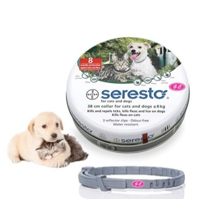KHUSUS GOSEND Seresto Kalung Kutu For Small Dog & Cat - Seresto Collar For Dog Ampuh