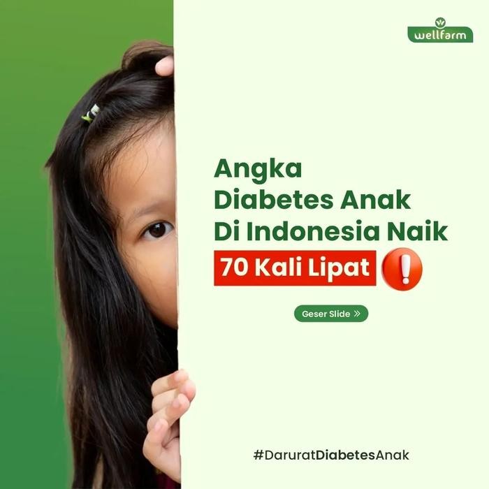 

Beras Diabetes Organik Wellfarm 5Kg Paket Hemat