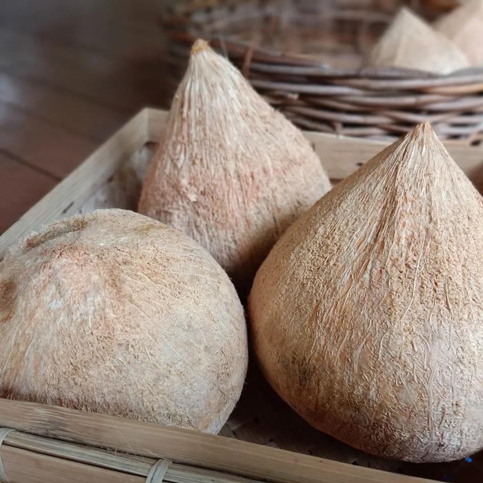 

Glx Kelapa Kopyor Buah Utuh