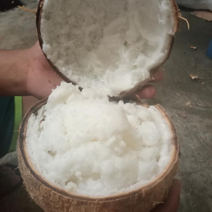 

Glx Daging Kelapa kopyor fresh