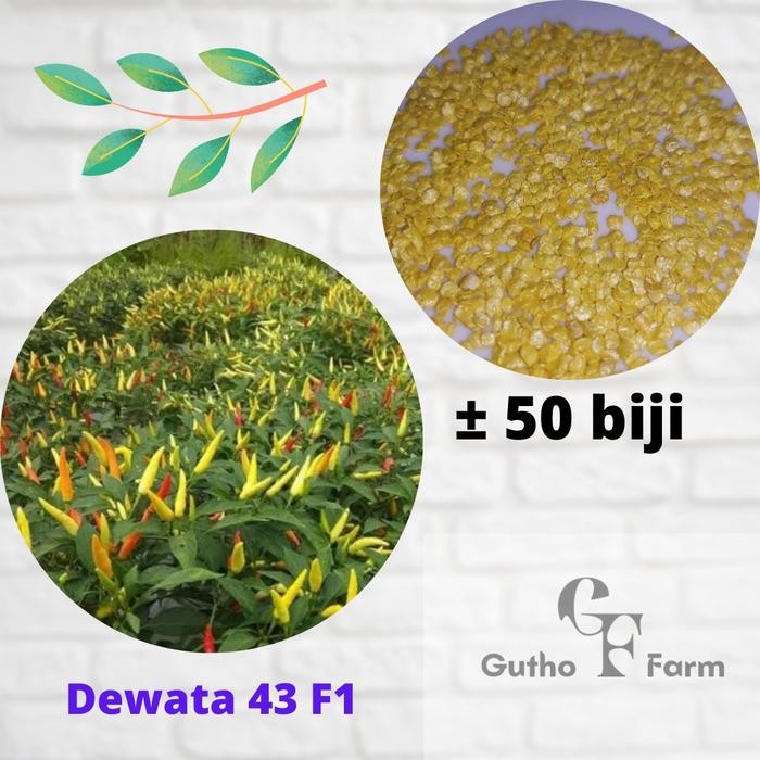 Benih cabai rawit DEWATA 43 F1 repack 50 biji