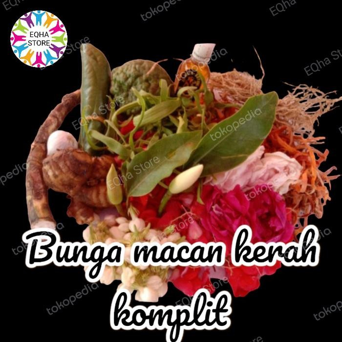 bunga macan kerah kembang untuk mandi komplit dan wangi EKONOMIS