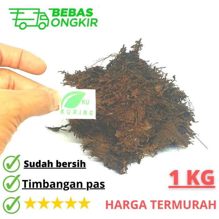 

[Fresh] MOS HITAM / AKAR KADAKA 1KG MEDIA TANAM ANGGREK TERMURAH