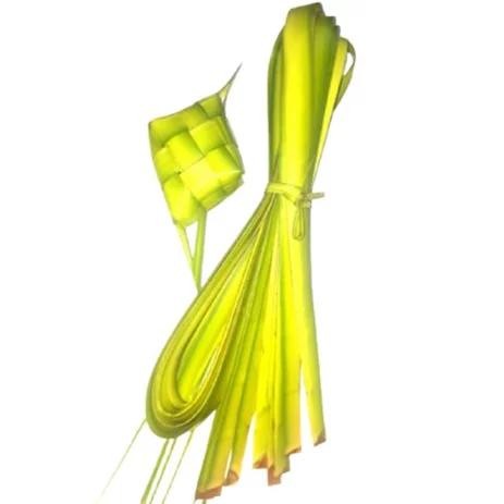 

[Fresh] Bahan Ketupat Daun Kelapa Muda Segar Atau Janur Kuning
