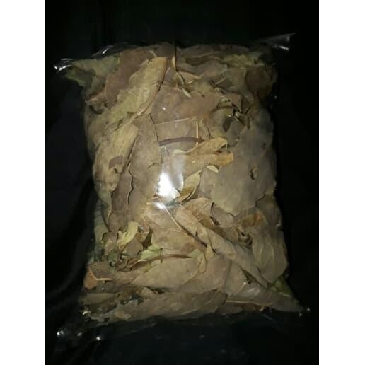 

[Fresh] Terlaris daun alpukat/daun alpukat kering 100 gram