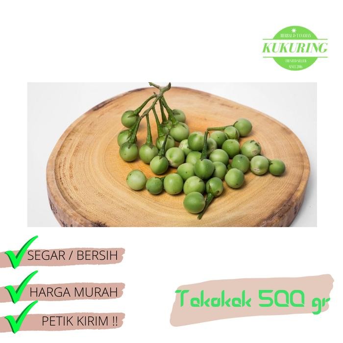

[Fresh] Buah takokak / cepokak segar 500 gram / terung pipit