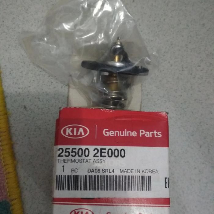 Thermostat Kia Sportage 2