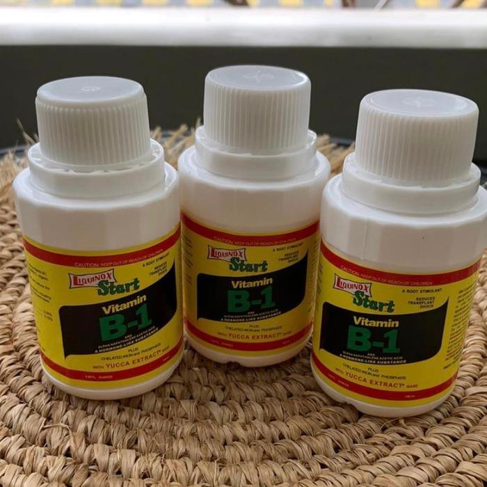 B1 start vitamin untuk tanaman
