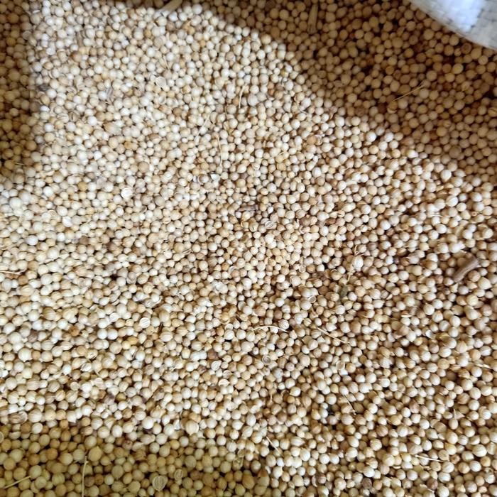 

New Ketumbar Putih 1Kilo KG