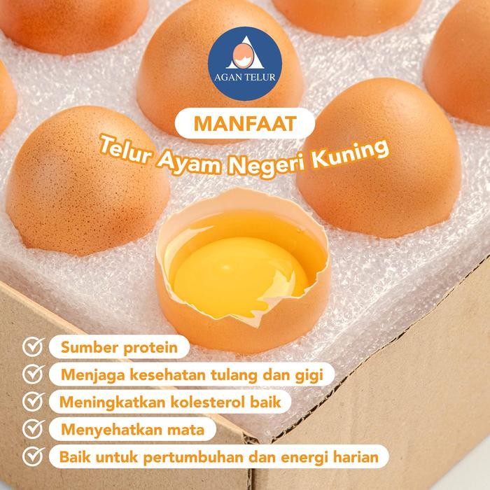 

Ayam Negeri 15 Kg Fresh Kulit Cokelat