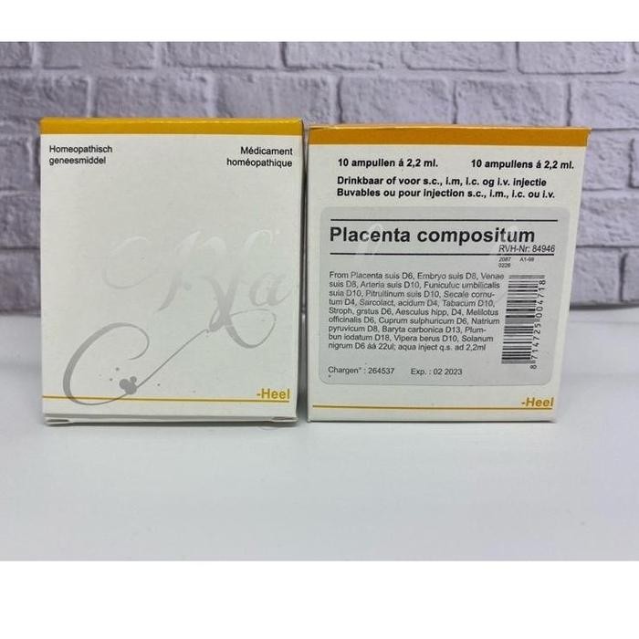 Placenta compositum hell titik Merah Biru ORIGINAL