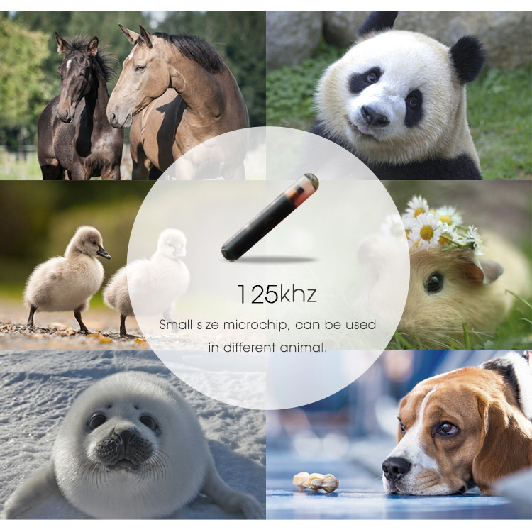 40pcs/pack LF 125khz FDX-A T5577 chip 2.12*12mm RFID glass tag for snake dog id management