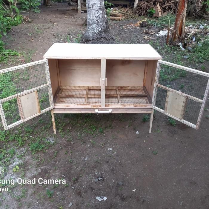 kandang burung merpati 2 pintu