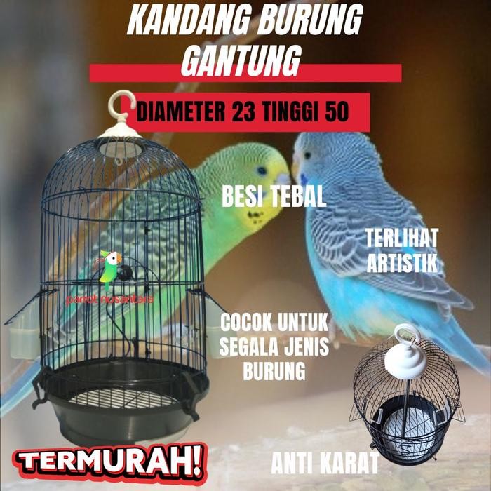 SANGKAR KANDANG BURUNG PARROT LOVEBIRD PARKIT MURAI BESI BIRD CAGE