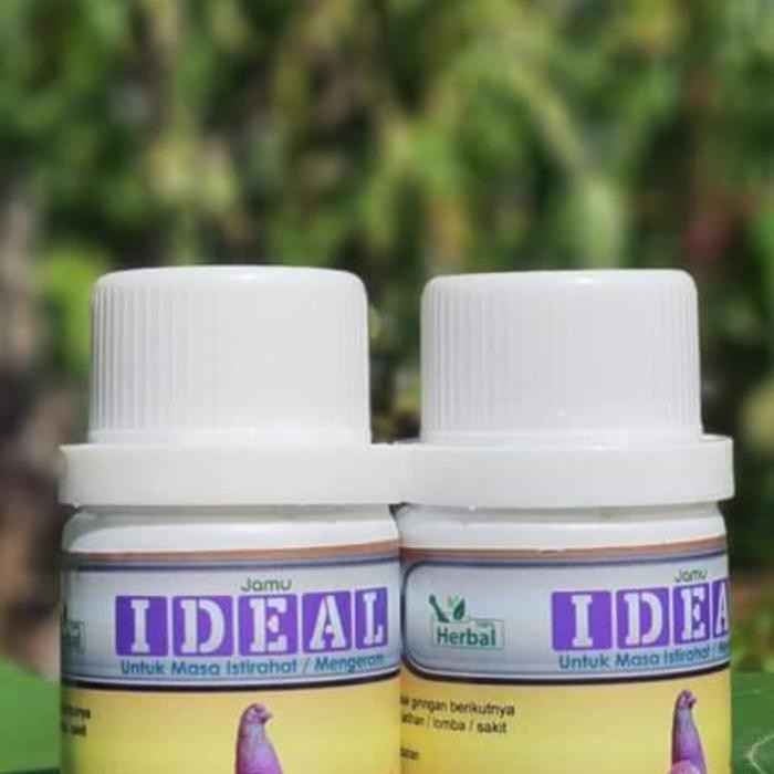jamu merpati ideal pills baron