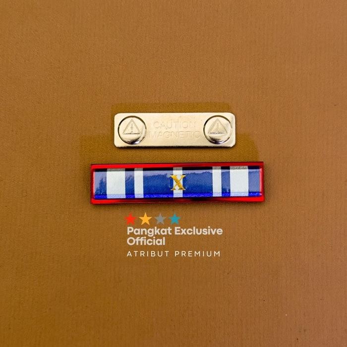 PIN SATYA LENCANA ASN 10 TAHUN PITA JASA ASN 10 TAHUN Bros Bros