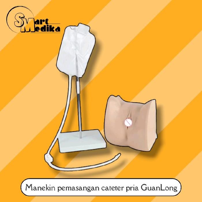 PHANTOM MANEKIN PEMASANGAN CATETER WANITA GUANLONG GL-8405-2 / MANIKIN PEMASANGAN CATETER