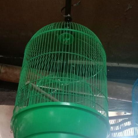 sangkar burung besi jumbo