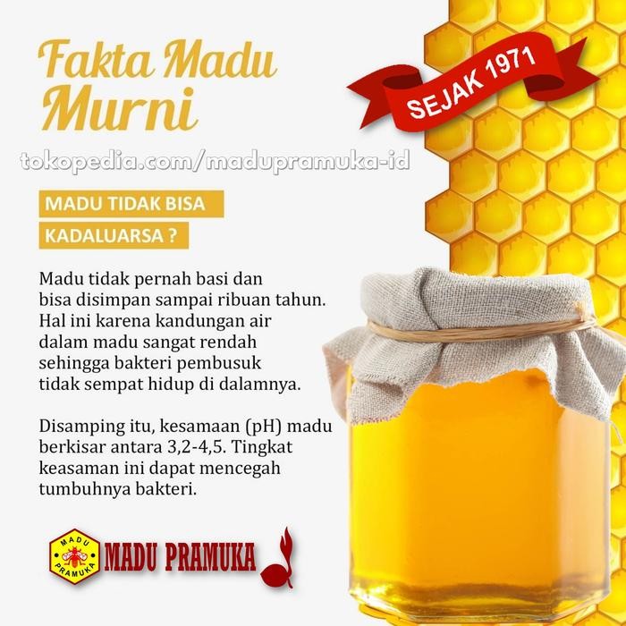 

Madu Pramuka Hutan 350 Ml 650 Ml 2000 Ml 350Ml 650M 2000Ml 2L 2 L Asli