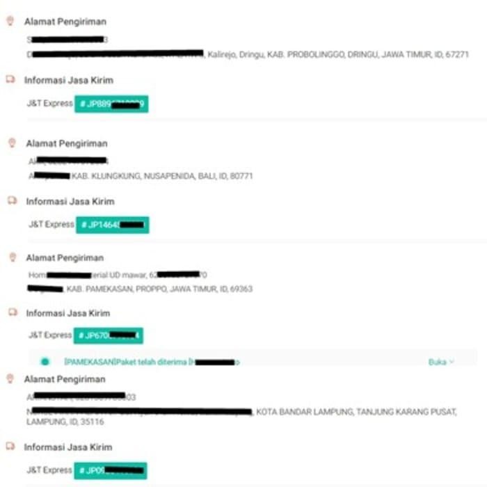 Cangkok Bonsai Pohon Beringin Kimeng MurahBesar kisaran saksya 8515bk