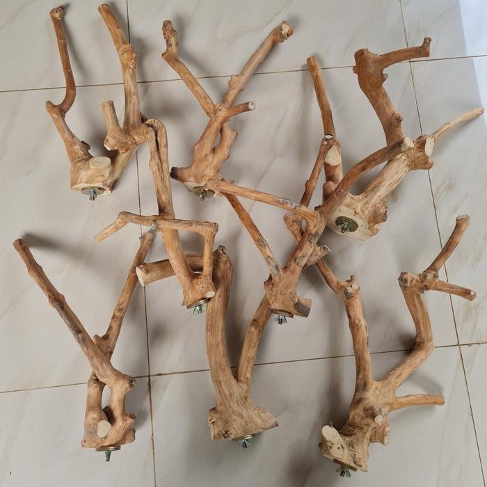 Tangkringan Kayu Kopi