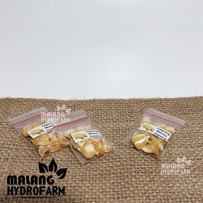 Tn Benih Jagung Manis Jepang Unggulan Berkualitas Biji Bibit Repack Hokkaido Tomorokoshi Hydroponik