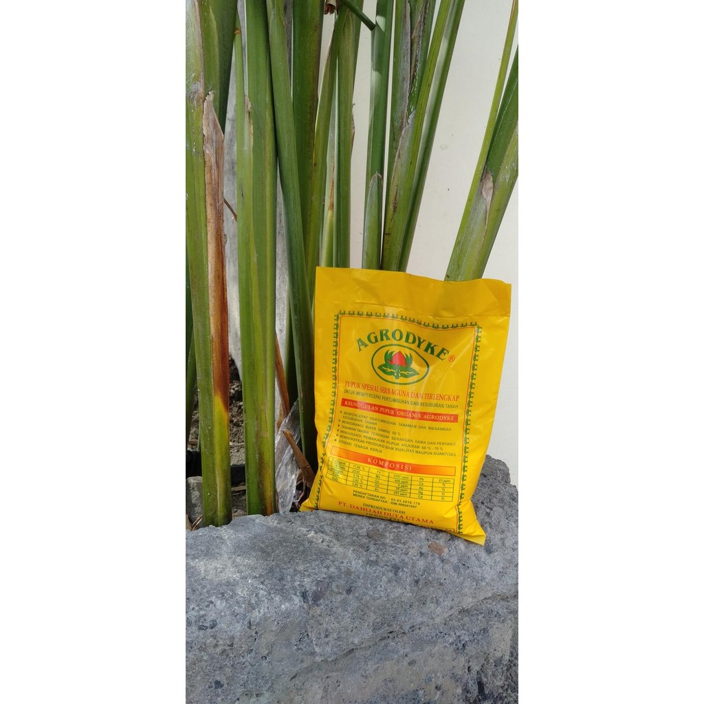 Agrodyke Pupuk Organik Pasti Ori