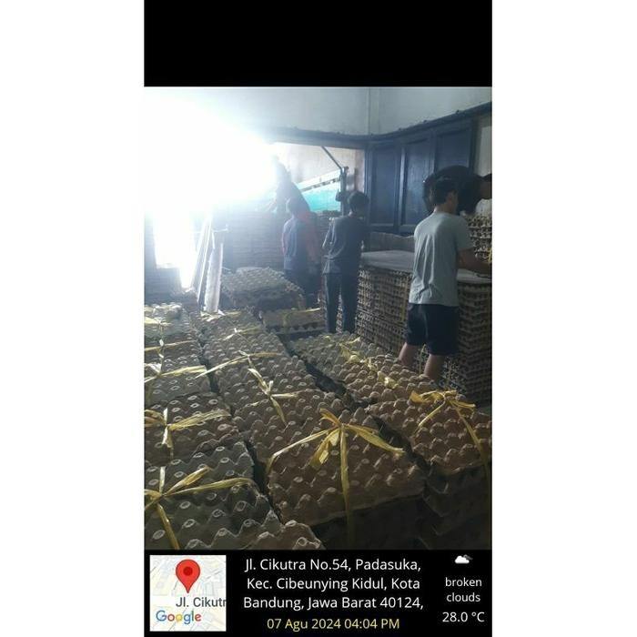 

(Expert) Telur ayam negeri isi 30 butir sekitar 1,9 kg kulit lebih tebal /kirim