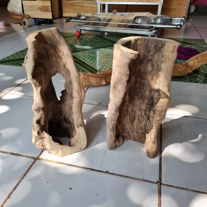 Hiding cave kayu kopi Aquascape