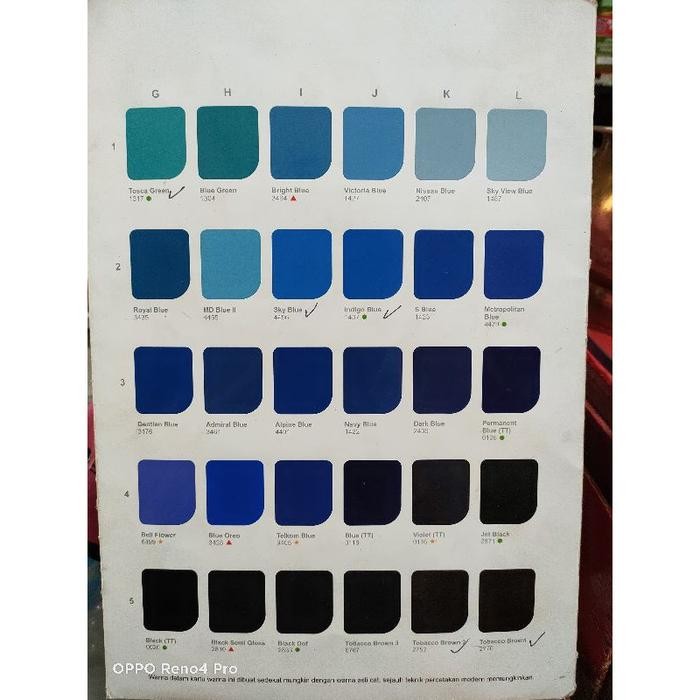 (Expert) Top Color Danapaint 1 Kg