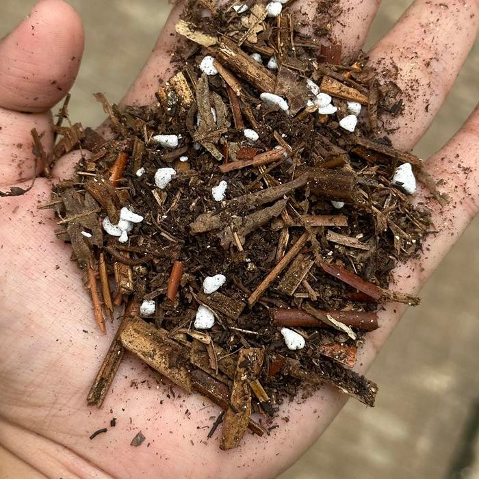 media tanam TS Media tanam siap pakai