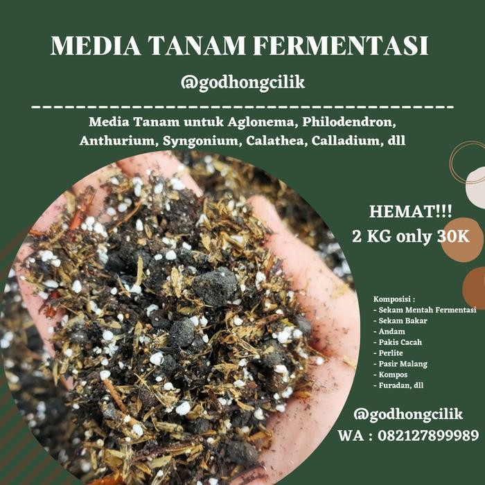 Media Tanam / Media Tanam Fermentasi / Media Fermentasi GoCil - Media