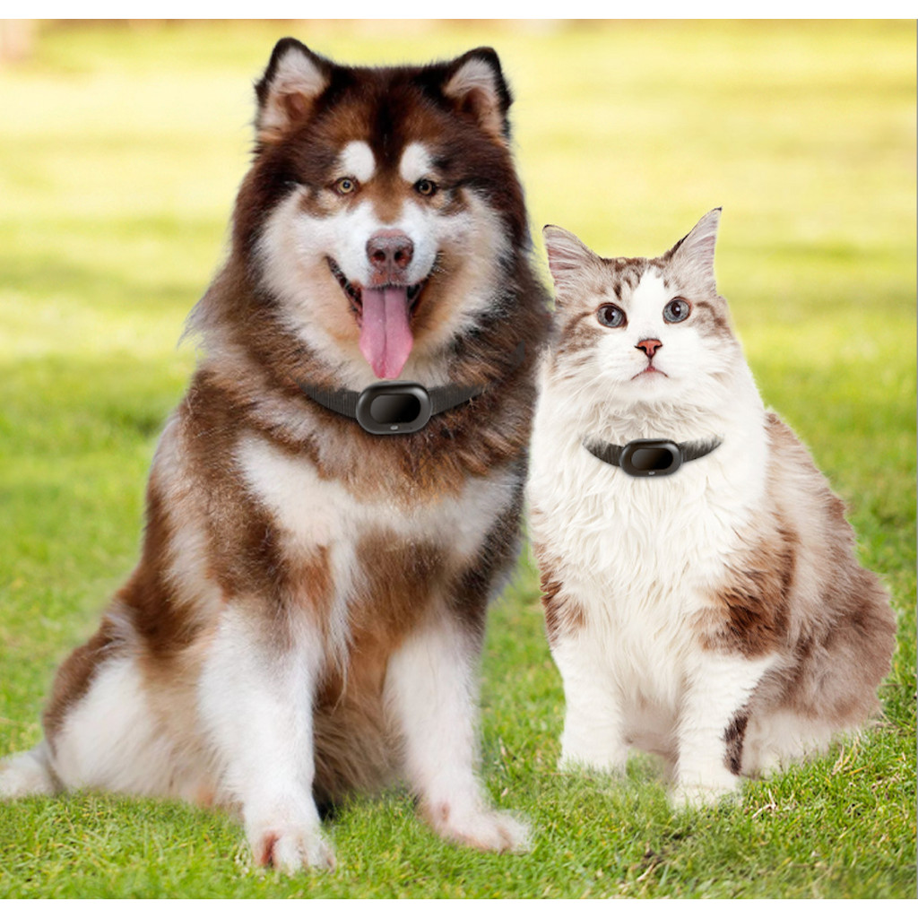 Gps tracker Type Pet Gps tracker Imei Number Tracking Online Gps tracker Voice Call Pet with Light