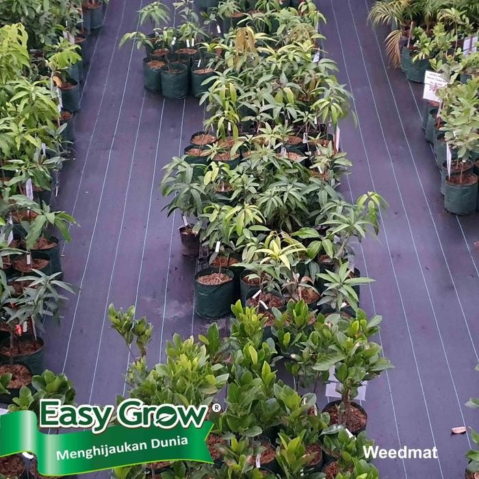 Easy Grow Weedmat Control Lebar 4 Meter Eceran