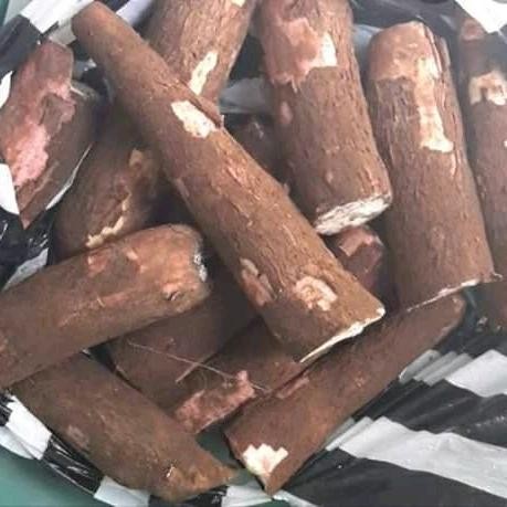 

New singkong mentah /1kg