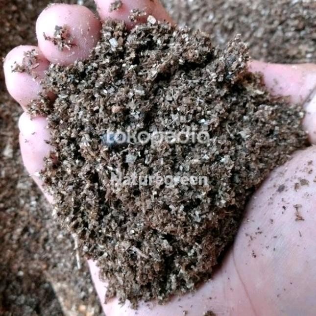 FLAKE SOIL MEDIA SUBSTRATE KHUSUS KUMBANG MEDIA LARVA MURAH TERBARU