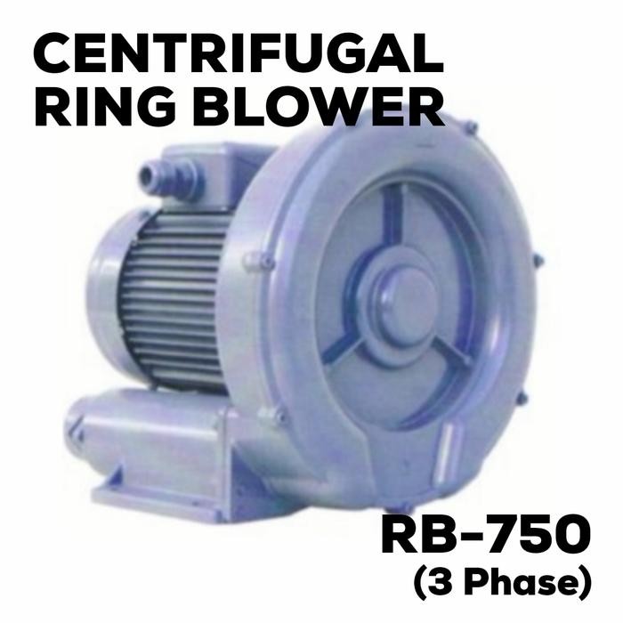 Centrifugal Ring Blower 750W 3 Phase (Rb-750)
