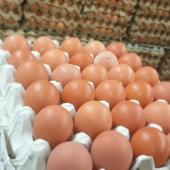 Telur ayam negeri 1kg