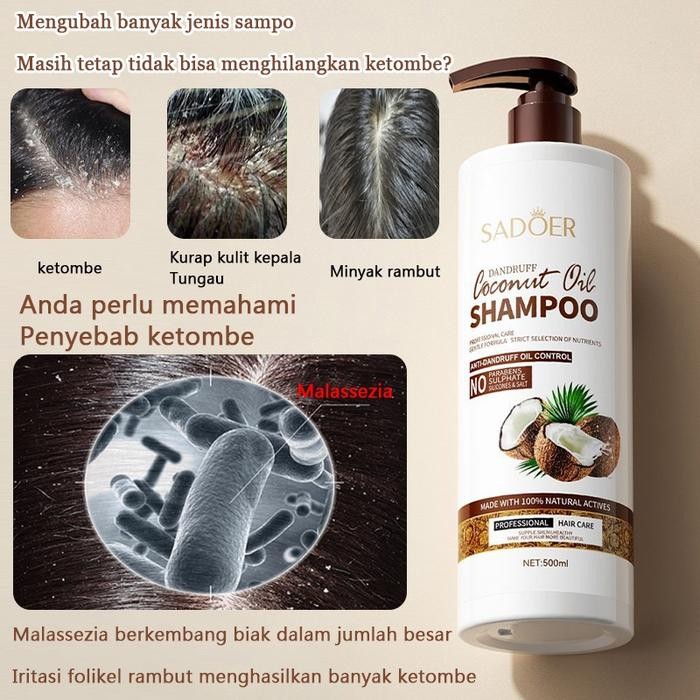 Sampo Anti Ketombe Kutu Rambut Shampo Anak Penghilang Gatal Memperbaiki Kulit Kepala Coconut Shampoo