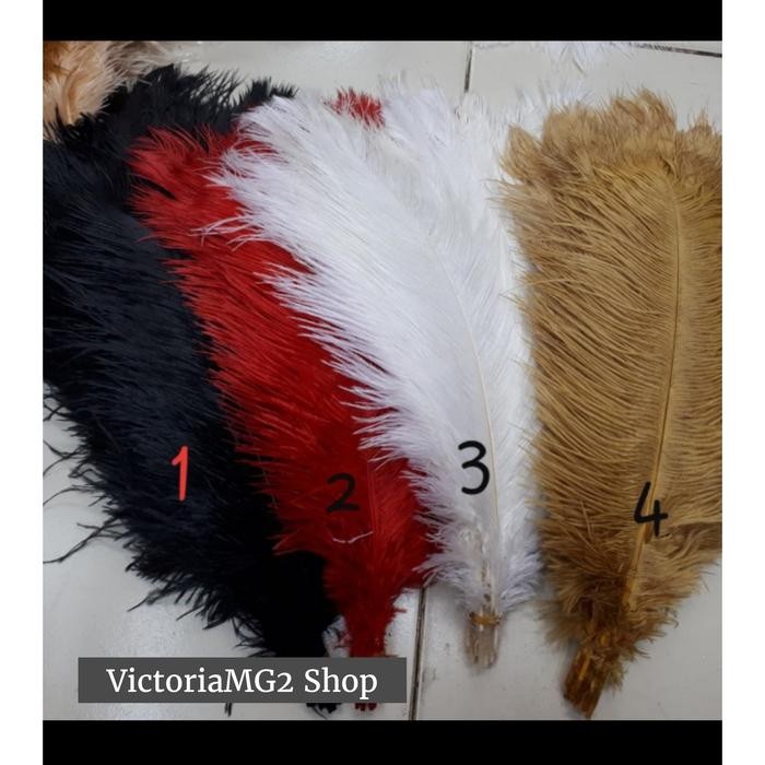 

Bulu Kasuari Ostrich Dekorasi 40-45 cm