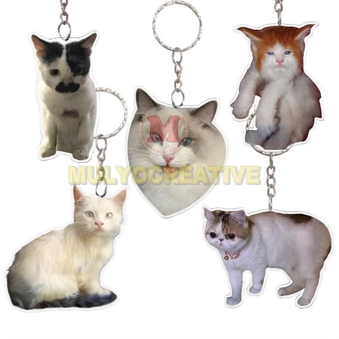 

Ganci Meme Kucing Mirip Artis Akrilik Bolak Balik Gantungan Kunci Keychain Cat KPOP PREMIUM