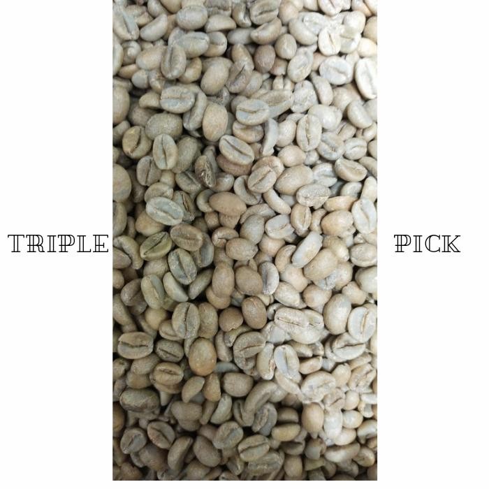 

Ready- Green Bean / Biji Kopi Arabika Import Colombia Supremo Huila - Washed #Gratisongkir