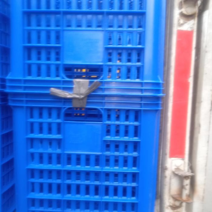 Kontainer Industri/ Container Serbaguna Rabbit 2808