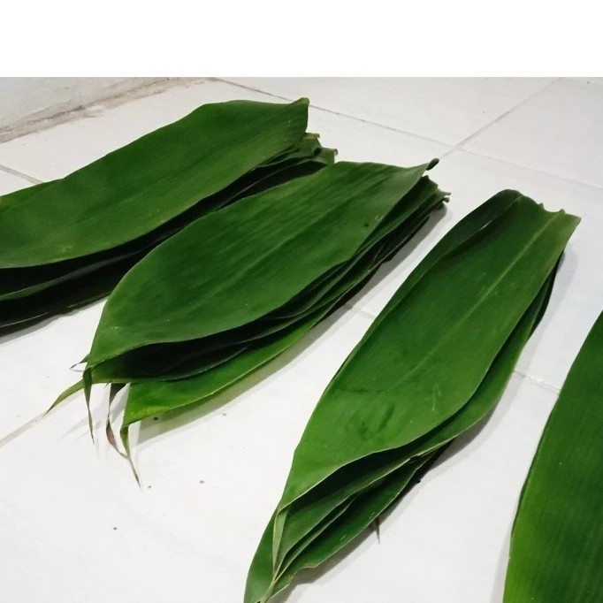 

satu pcs Daun Bambu Segar Pilihan herbal