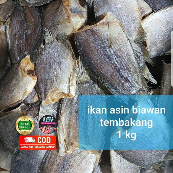 

IOI2 Ikan Asin Biawan / Tembakang 1000Gram / 1 Kg