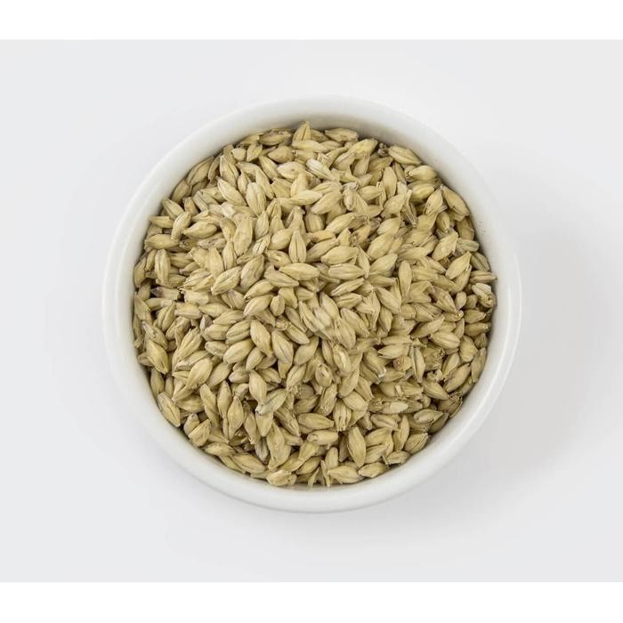 3YC3 Muntons Whole Pilsner Malt 2-5 Ebc 1000Gr Uk