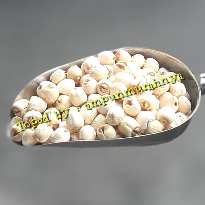 

3YC3 Biji Teratai Lien Ci Super 100 Gram