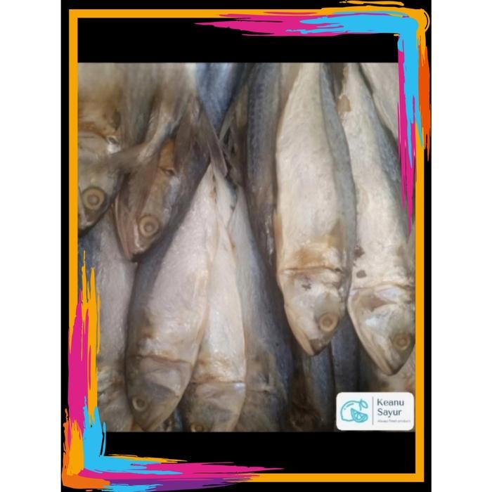 

3YC3 Ikan Asin Peda Putih 250Gr